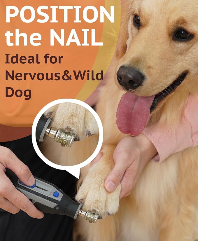 Diamond Dog Nail Grinder Attachment, Diamond Rotory Bit for Dogs&Pets Nail Care, Made for Dremel Grinder for Animals Nail Care & Home Grinder Tools, Retriever, Fast-grit
