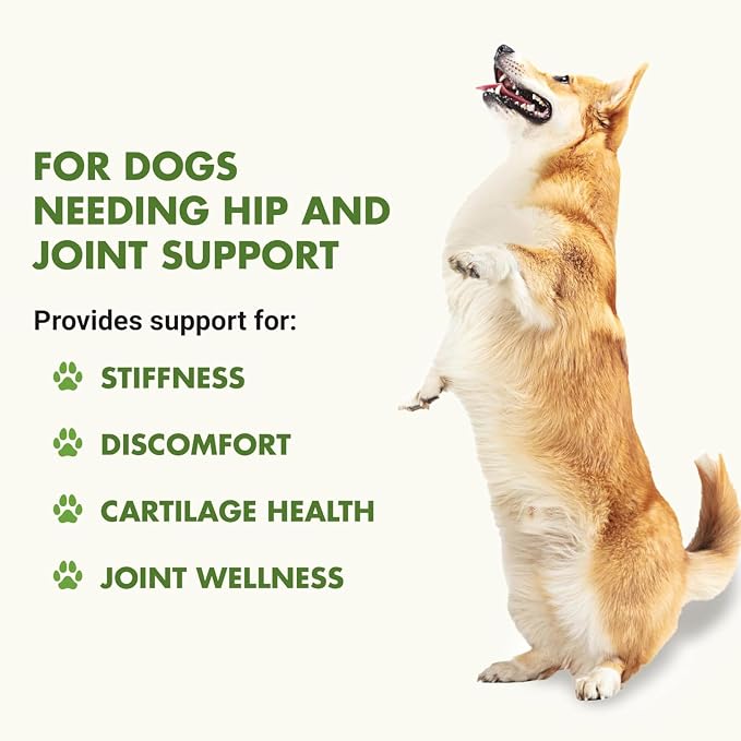 LIQUID-VET K9 Hip & Joint Formula, Bacon Flavor, 16 oz (Pack of 4)