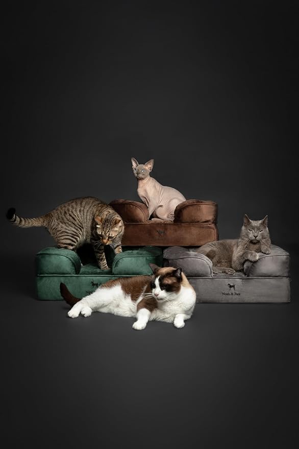 NOAH & PAW Small Dog Bed, 20x15x8 Inch, Cat Bed for Indoor Cats, Orthopedic Eggshell Memory Foam Infused with Cooling Gel, Water Resistant Inner Cover Machine Washable (Denim Collection)