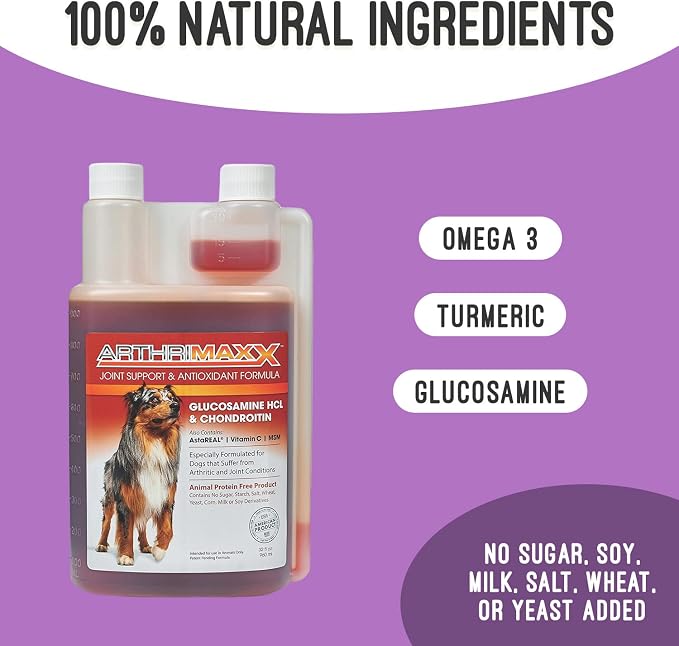 ArthriMAXX Dog Supplement for Joint Inflammation & Arthritis, Naturally Potent Dog Joint Care, Antioxidant Formula with MSM, Chondroitin, Vitamin C, & Glucosamine For Dogs, 32 fl oz