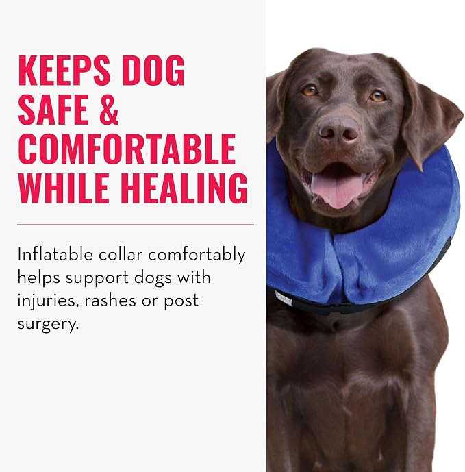 KONG Cloud E-Collar, Dog Collar, X-Large