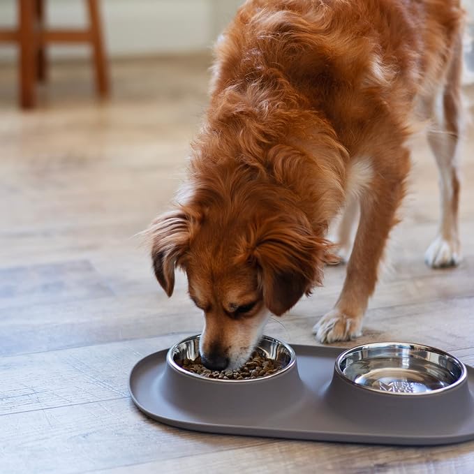 Messy Mutts Double Silicone Feeder with Stainless Bowls | Non-Skid Food Dishes for Dogs for All Pets | Dog Food Bowls | Large, 3 Cups Per Bowl | Grey