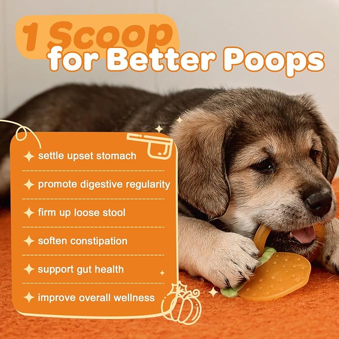 ZEBORA Pumpkin Powder for Dogs & Dog Allergy Relief Powder