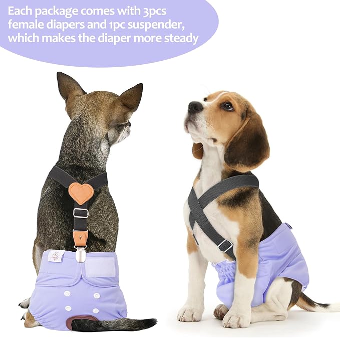 CuteBone Dog Diapers Female 3 Pack Reusable Doggy Diapers with One Suspender for Small Medium Large Dog Period BDD01L