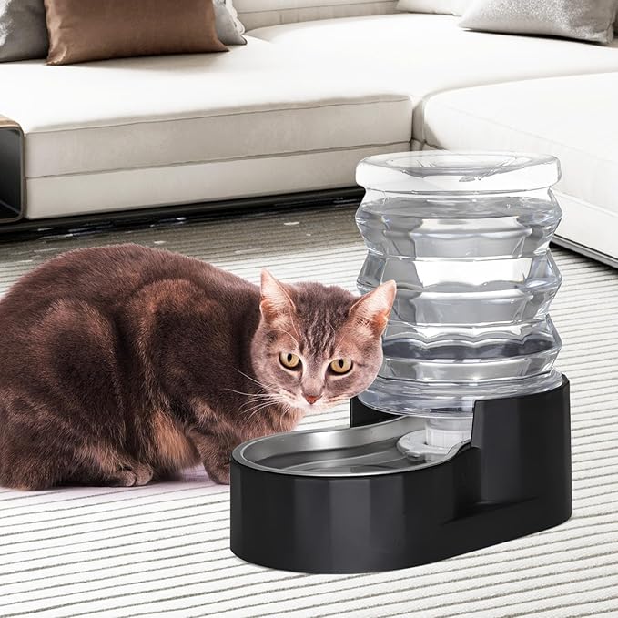 RIZZARI Black 5L Gravity Dog Water Dispenser with Stainless Steel Bowl - Activated Carbon Filter Helps Soften Water & Reduce Odor, Supports Urinary Health, for Small Pets in Patio or Garden
