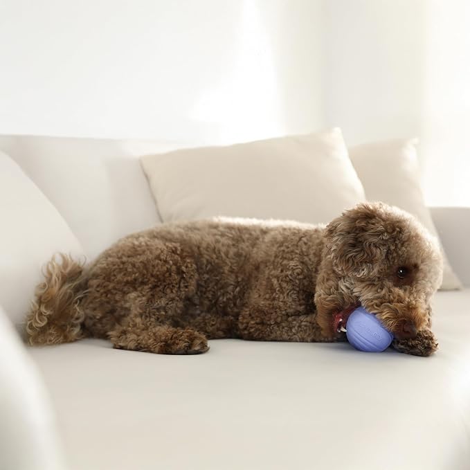 Playology Dog Toys | Dual Layer Ball Durable Chew Toy for Tough Chewers | Blueberry Scented Medium Dog Toy | Chew Toys for Dogs