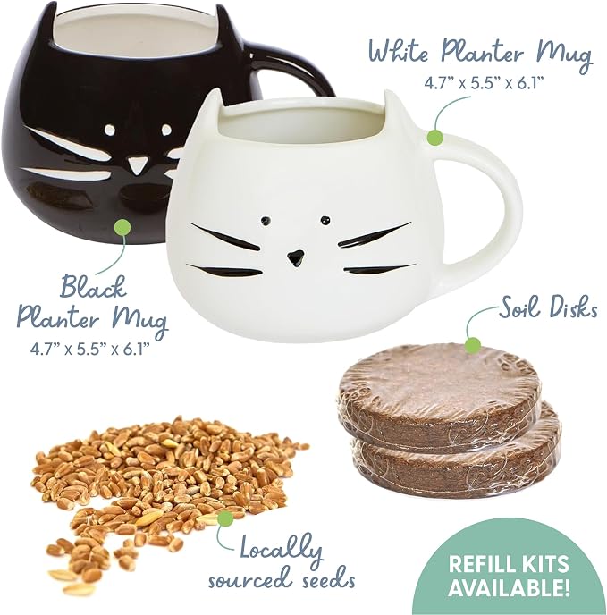 The Cat Ladies Cat Grass Growing Kit with Organic Cat Grass Seed Mix, Soil and Two Cat Grass Planters. Perfect Cat Gifts for Indoor Cats