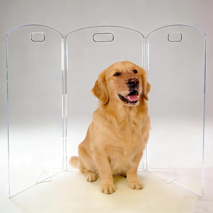 Clear Freestanding Dog Gate - 3 Panel Foldable Pet Gate for Doorways No Drilling Needed, Transparent Puppy Fence with Support Feet, Indoor Dog Barrier for Home Safety (60" W x 32" H)