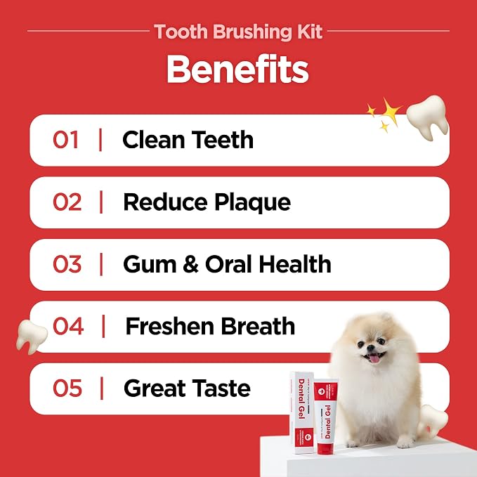 JAYU PET Firm Bristles Tooth Brushing Kit - Dental Gel 1ea + Dental Care Brush 1ea | Teeth Cleaning & Breath Freshener, Removing Plaque and Tartar, Pet Dental Hygiene, Dog Easy Teeth Brushing