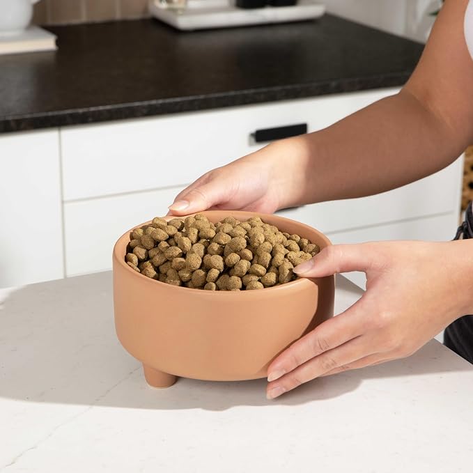 Waggo Uplift Ceramic Dog Bowl for Small Medium and Large Breeds - Heavyweight and Durable Pet Food and Water Dish Crock, Dishwasher Safe, Modern, Elevated Feeder (Clay, Large)