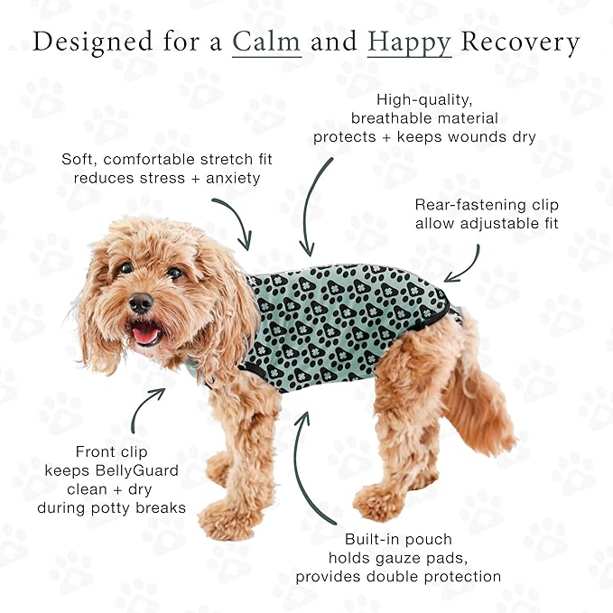 BellyGuard Dog Surgery Recovery Suit, Post-Op Dog Recovery Suit for Female Spay & Male Neuter, Comfy Onesie for Pets, Surgical Body Cover for Canine Healing Support