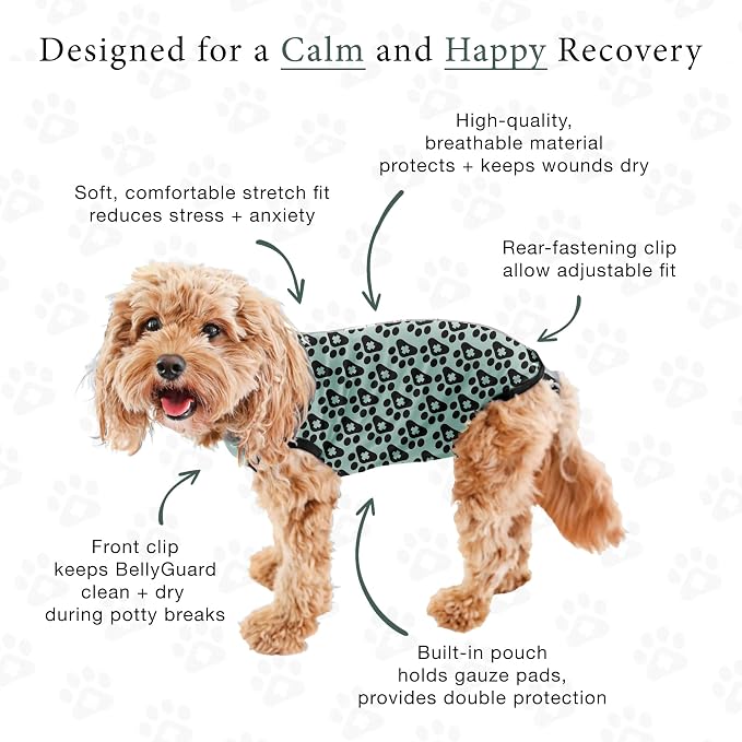 BellyGuard Dog Surgery Recovery Suit, Post-Op Dog Recovery Suit for Female Spay & Male Neuter, Comfy Onesie for Pets, Surgical Body Cover for Canine Healing Support