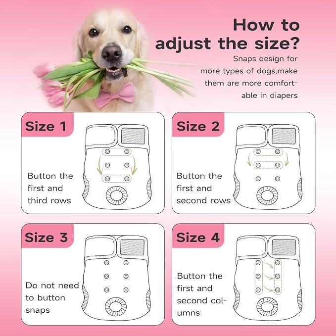 Paw Legend Washable Reusable Female Dog Period Diapers for Heat Doggie Puppy Diapers for Female Dogs (3 Pack, Large)