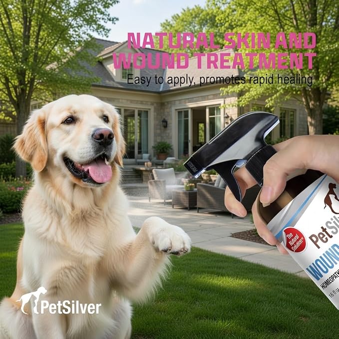 PetSilver Wound & Skin Spray - Dog Wound Spray, Hot Spot, Allergy Relief for Dogs, Itch Spray for Cats - Natural Skin Soother - Chelated Silver, Superior to Colloidal Silver - Made in USA - 16 fl oz
