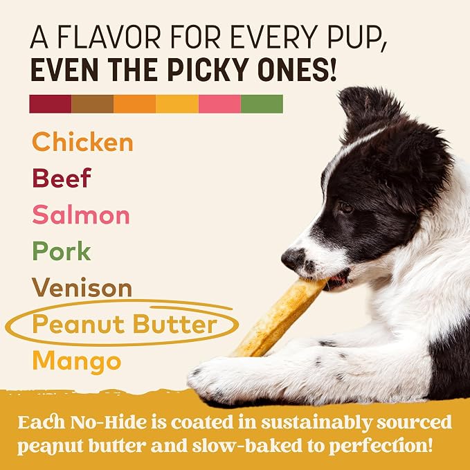Earth Animal No Hide Chews - Long Lasting Rawhide Free Medium Dog Chews Rolls, Peanut Butter - 3 Count Value Pack