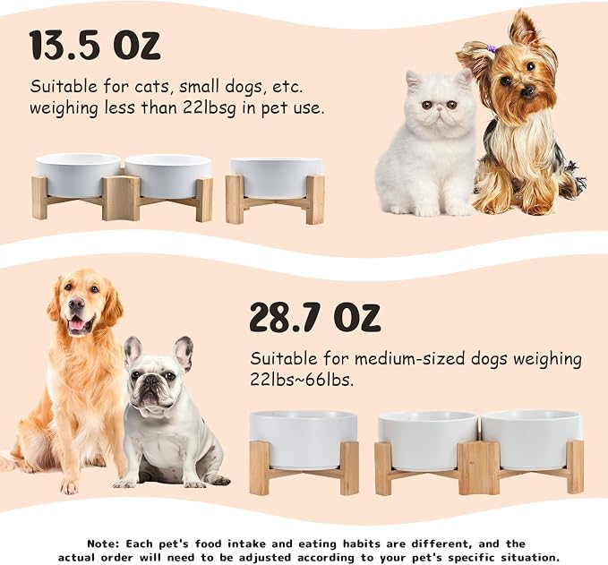 SPUNKYJUNKY 15° Slanted Ceramic Dog and Cat Bowl with Wooden Stand, Tilted Bulldog Food and Water Bowl No Slip Non-Spill for Cats Medium Dogs Big Face Pets 28.7 OZ (3.6 Cups, White × 2)