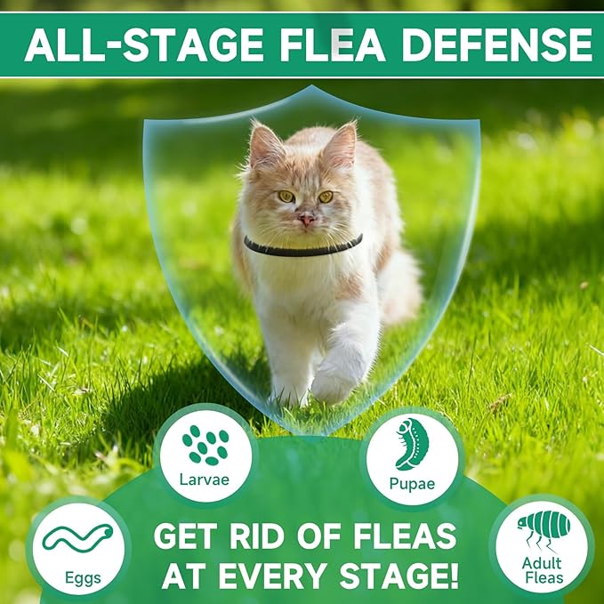 4 Pack Cat Flea Collars, Cat Flea and Tick Treatment, 32 Months Protection Flea and Tick Prevention for Cats, Waterproof Flea Collar for Cats, Black