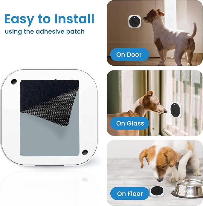 Wireless Dog Doorbell for Potty Training, Doggie Door Bell to Go Outside, 1000ft Range, IP65 Waterproof Touch Button, 4 Notification Modes, Easy Velcro Installation