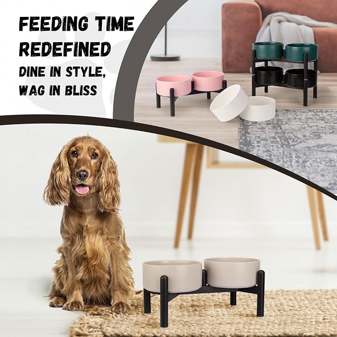Raised Ceramic Dog Bowl Set - Elevated Double Dishes with Stainless Steel Stand - Food and Water Bowls for Small to Medium Dogs - Each Holds 3.5 Cups (29.57 fl oz) - White