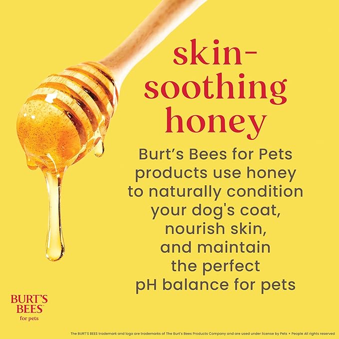 BURT'S BEES FOR PETS Dog Paw and Nose Lotion with Rosemary and Olive Oil Moisturizing Paw Balm for Dry Cracked Pads and Dog Nose Butter Paw Lotion for Dogs Skin Care 4 FL OZ Cruelty Free