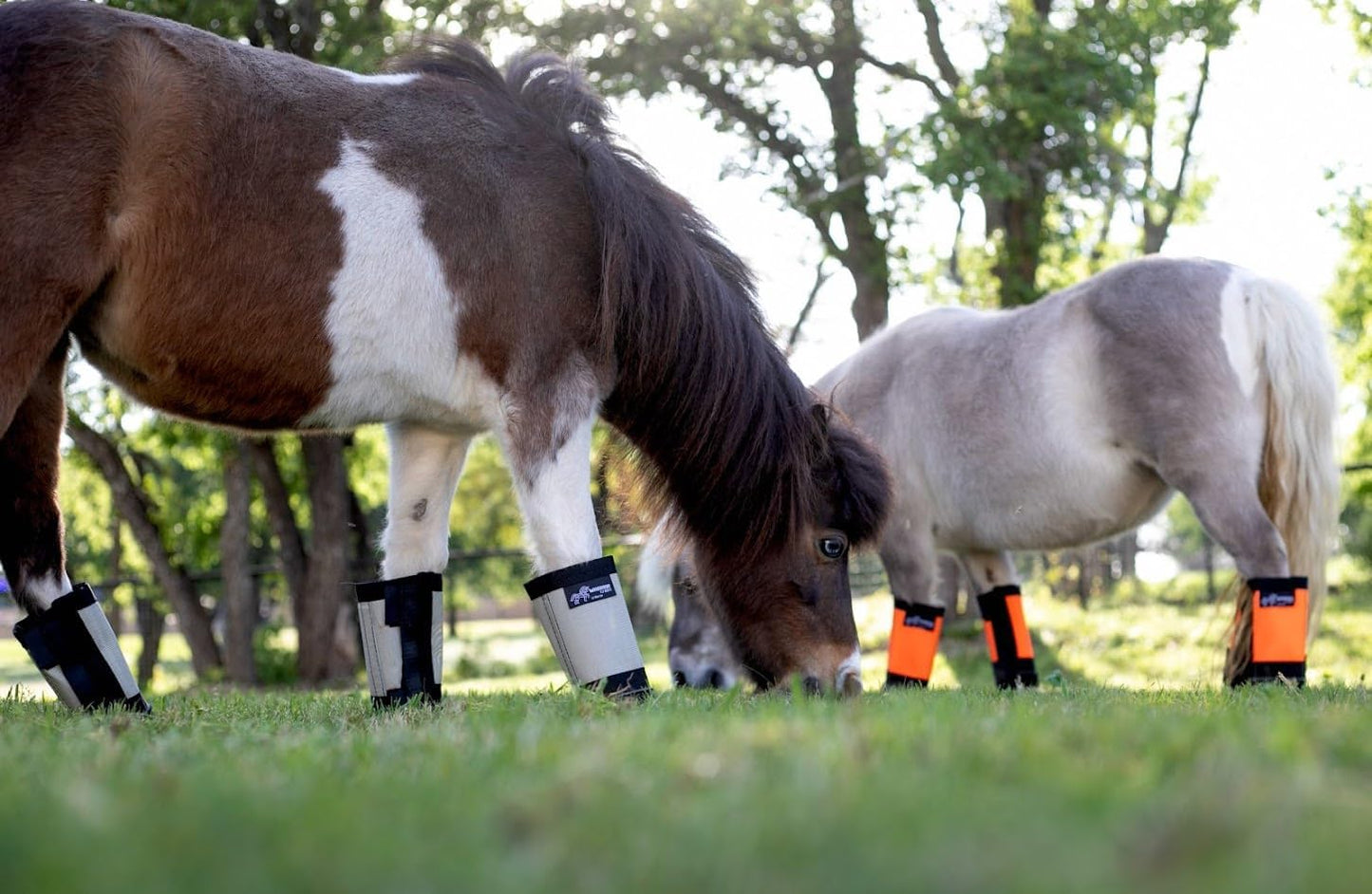 Warrior Fly Boots for Horses - Breathable Mesh Horse Boots for Fly Protection & Leg Comfort - Set of 4 (Lil Warrior, Neon Pink)