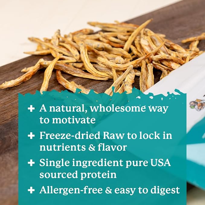 Dr. Harvey's Minnow Minis Freeze-Dried Dog Treats – Fish Treats for Training & Rewards – High Protein, Rich in Omega-3s, Made in the USA - 4 Ounces