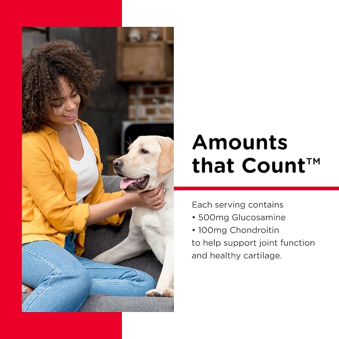 Nutri-Vet Hip & Joint Regular Strength Chewable Dog Supplements, Joint Supplement for Dogs, Chewable Supplement, Formulated with Glucosamine Chondroitin, Pet Supplies, Puppy Essentials, 180 Count