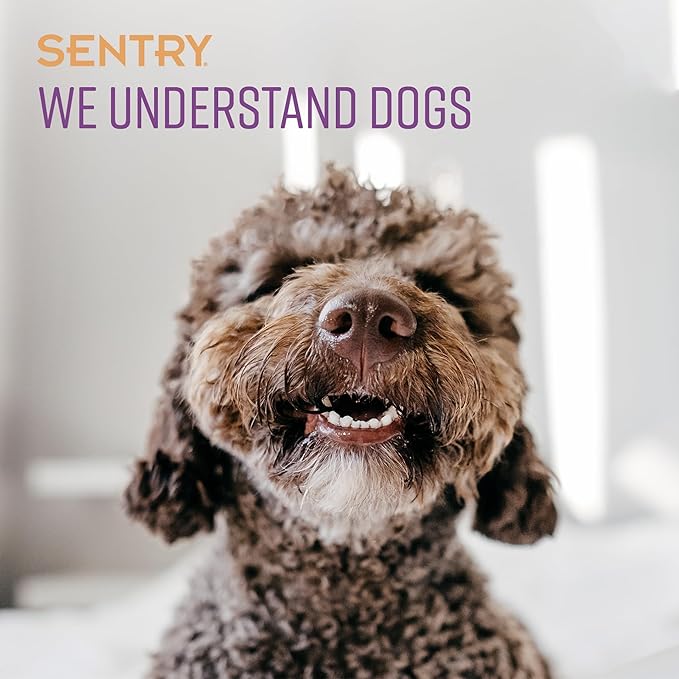 Sentry Behavior Portable Calming Diffuser for Dogs, Reduces Stress and Bad Behavior with Calming Pheromones, Easy-to-use Portable Design, 30 Day Release