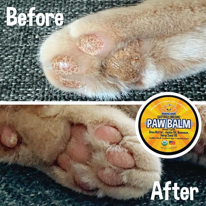 Bodhi Dog Paw Balm 2oz + Nose Balm 2oz Bundle