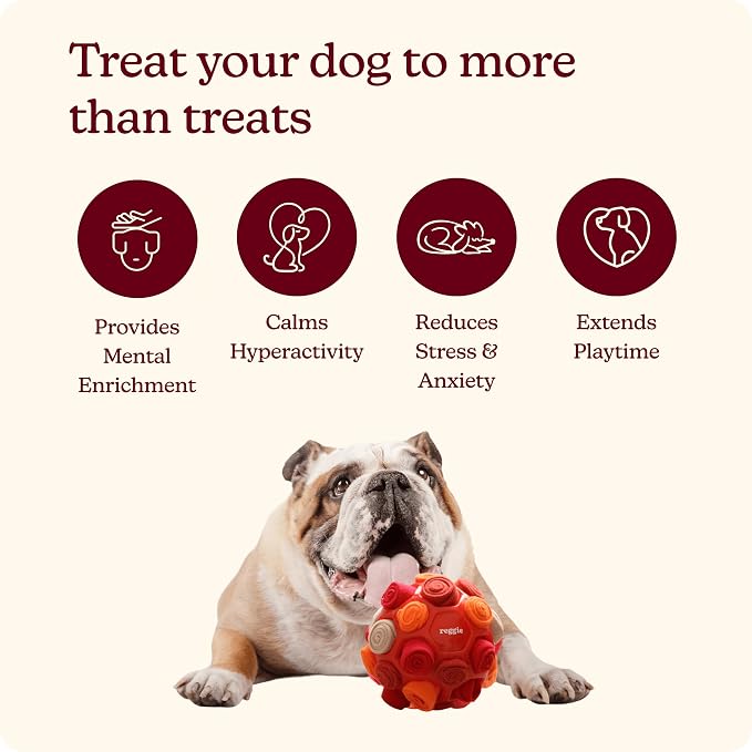 Reggie Snuffle Ball for Dogs | Interactive Treat Dispensing Dog Enrichment Toys | Reduces Boredom, Stress & Hyperactivity | Snuffle Toys for Dogs | Durable & Washable Dog Puzzle Toy I Red