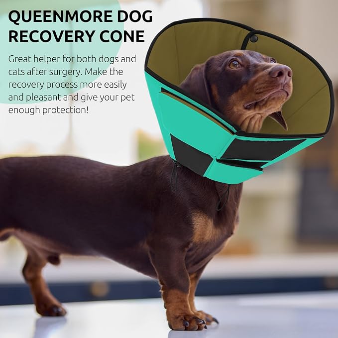 Queenmore Dog Cones for Small Dogs, Adjustable Comfy Cone for Dogs, Dog Cone Collar to Prevent Licking Wounds, Adjustable Elizabethan Collar for Pets, Green S