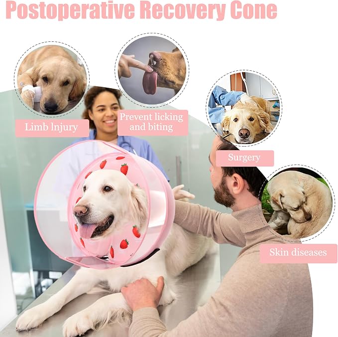 Inflatable Dog Cone Collar for Large Medium Small Dogs, Soft Dog Donut Collar Adjustable Recovery Cone for Pets After Surgery, Extra Enhanced Anti-Licking Guard Shield (Strawberry Print, X-Large)