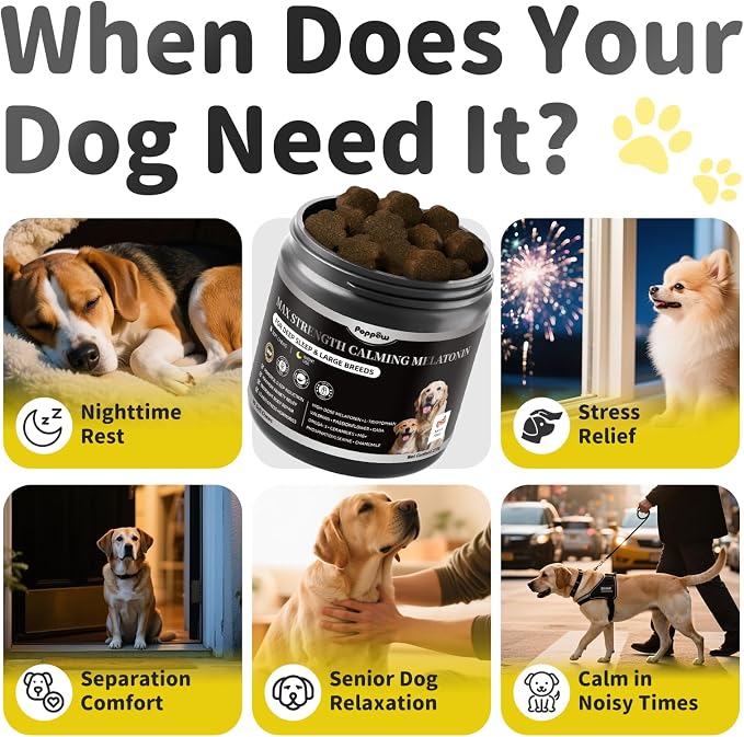 Melatonin for Dogs - Advanced Dog Calming Chews for Restful Sleep & Emotional Support, Calming Treats for Dogs Relaxation, Stress Anxiety Support - Separation, Thunder, Fireworks, Bacon Flavor, 90Ct