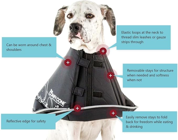 All Four Paws Comfy Cone Pet Cone for Dogs, Cats, Large, Tan - Comfortable Soft Dog Cone Collar Alternative for After Surgery, Wound Care, Spay, Neuter - Dog and Cat Recovery Elizabethan-Collar