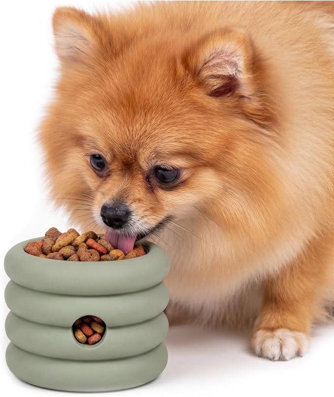 Should We Go? Interactive Dog Enrichment Toy with Freezer Plug, BPA-Free Silicone Puzzle Dog Freeze Bowl & Treat Dispenser for Mental Stimulation, Ideal for Kibble & Frozen Licks, Fits 3 oz, Small