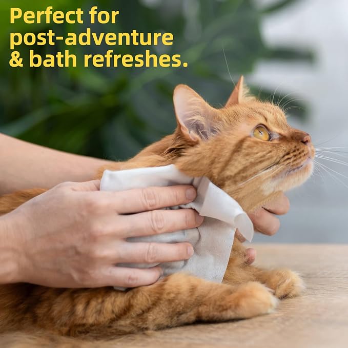 HygiCare Pet Grooming Wipes for Dogs & Cats, 400 Count, 8"x8" Ultra Thick & Soft, Unscented, Hypoallergenic Formula, Safe on Coat, Paws, Ears, Bum & Sensitive Skin