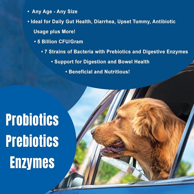DOGZYMES Daily Balance Canine Supplement by Nature’s Farmacy – Probiotics + Prebiotics + Digestive Enzymes – 5 Billion CFUs – Whey Base – 1 lb (454 g)