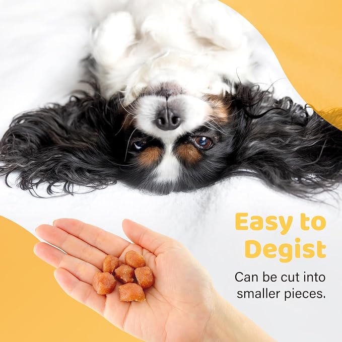 iPaw 2 Saver Combo Turkey Tots Dog Treats for Puppy Training, SQF Certified Human Grade Dog Treat, Hypoallergenic, Easy to Digest (Turkey Tots), 2 Packs