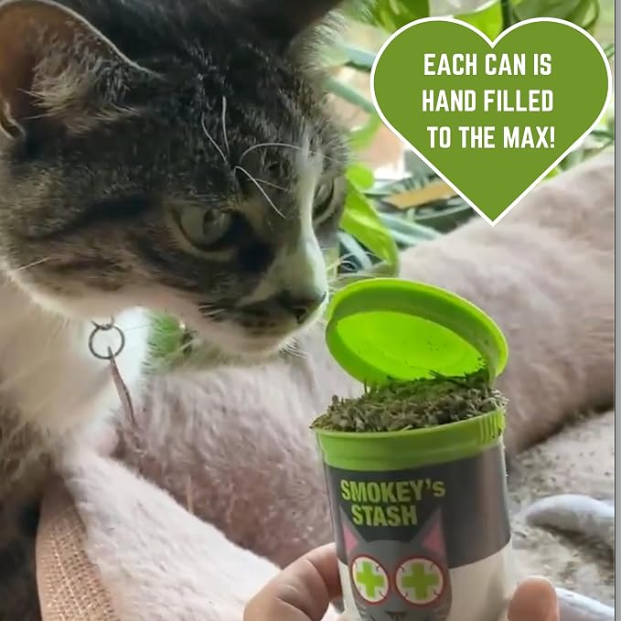 Smokey's Stash Cat Catnip Spray, Dried Organic Catnip, 2pc Fishing Poles and Funny Toy Refills