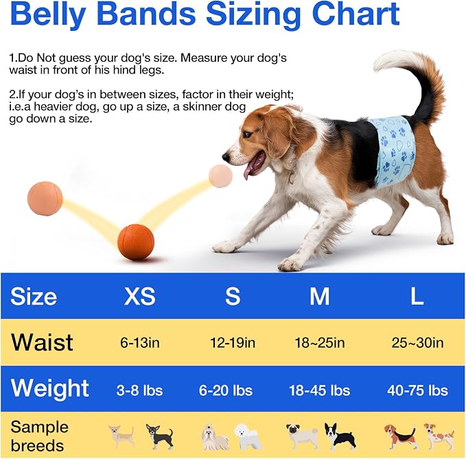 Male Dog Diapers with Wetness Indicator, Disposable Belly Band for Puppy Male Diapers, Doggie Wraps for Puppy Training, Incontinence (S, 26 Count)