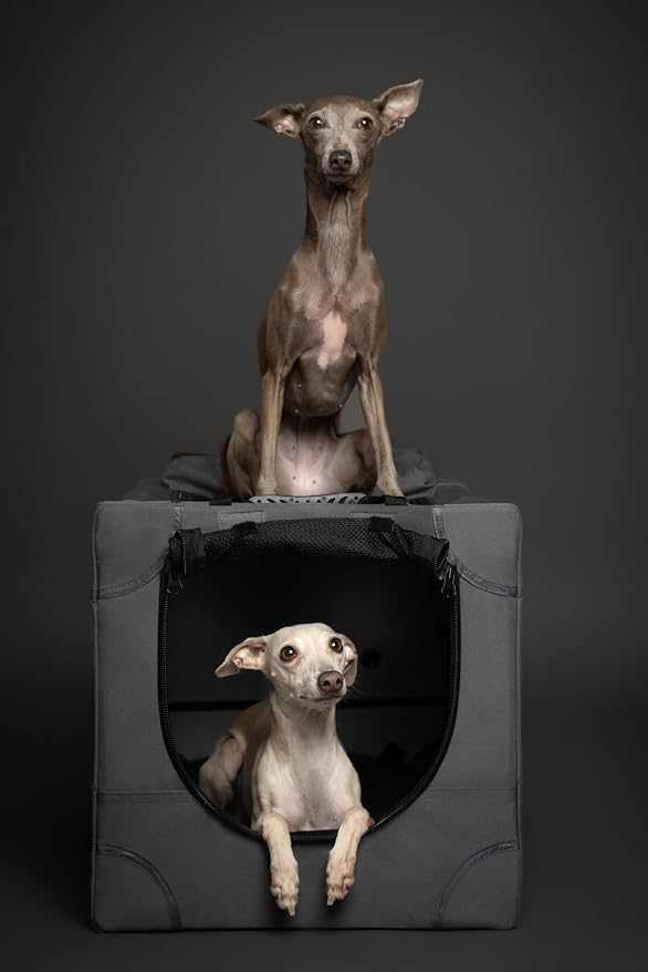 Noah & Paw Collapsible Dog Crate 26 Inch, Small Dog Crate for Small Medium Breeds, Travel Kennel for Car, Including Pet Mat for Pet Cage, 2 Storage Pockets, Handbag, 10mm Locking Zipper 26 * 17 * 17
