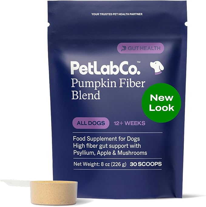 PetLab Co. Pumpkin Fiber for Dogs – Dog Probiotics Powder – High Fiber Supplement with Apple, Psyllium & Mushrooms – Supports Digestion, Gut Health & Regular Bowel Movements – 30 Scoops