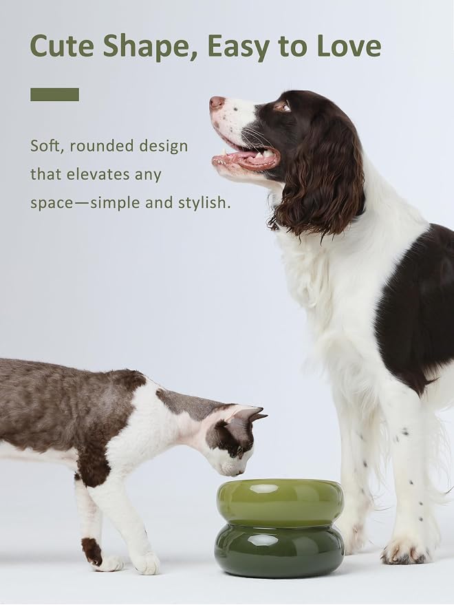 Elevated Cat Water Bowls Raised Small Ceramic Dog Bowl,Non-Slip Tilted Cat Food Bowl Whisker Friendly-Green