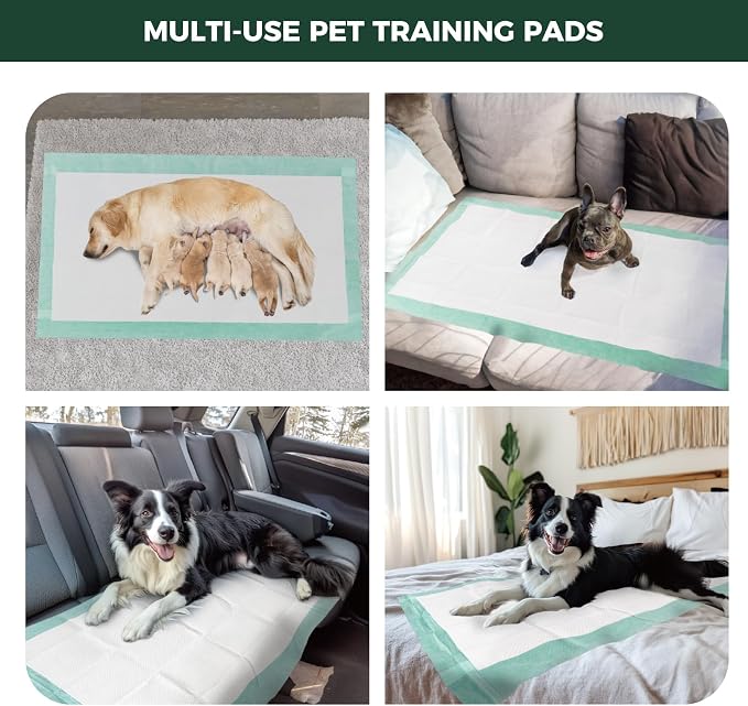 FXW XXL Puppy Pee Pads for Dogs 51x29 inch 50 Count, 5 Layer Super Absorbent & Leak Proof-Thickened Disposable Potty Training Pad, Fits 24" H 6/8 Panel FXW Playpen-Green (Playpen not Included)