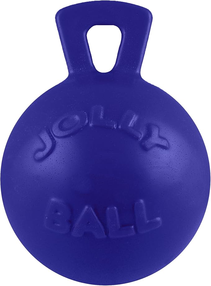 Jolly Pets Tug-n-Toss Dog Toy Ball with Handle, 8 Inches/Large, Blue