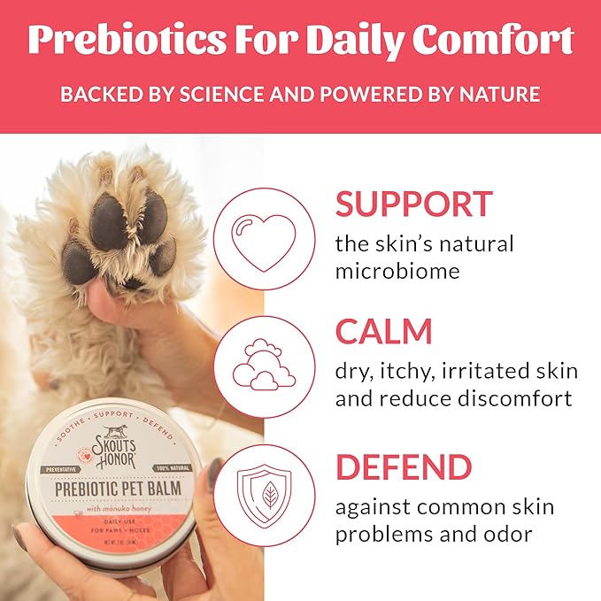 SKOUT'S HONOR Prebiotic Pet Balm - 100% Natural and Made w/Manuka Honey to Promote Healing of Your pet's paw Pads and Nose, Soothes Dry, Itchy Paws and Noses - Safe for Cats and Dogs, 2oz, 1-Pack