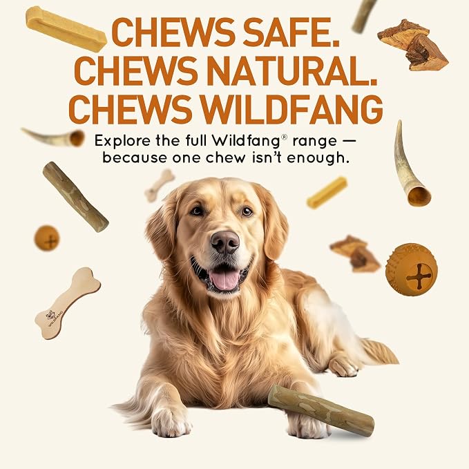 Wildfang® Coffee Wood Dog Chew, XXS – Tough Chew Toys for Aggressive Chewers, Dog Teething Toys for Puppies, Training for Chewing Muscles, Coffee Tree Sticks for XX-Small Dogs (Under 11 lbs) Pack of 1