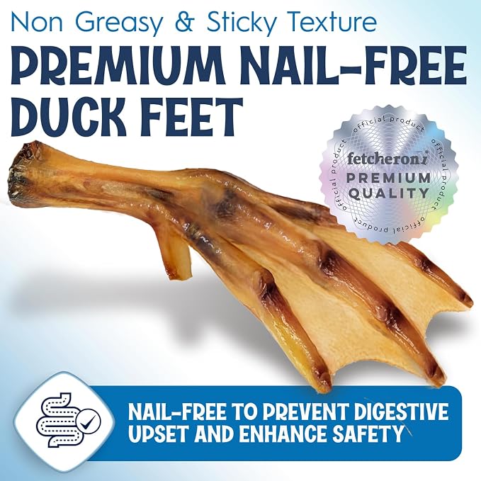 Premium Duck Feet for Dogs - Natural Dehydrated Treats - Whole Poultry Digestible Chews - for Pets (200 Count)