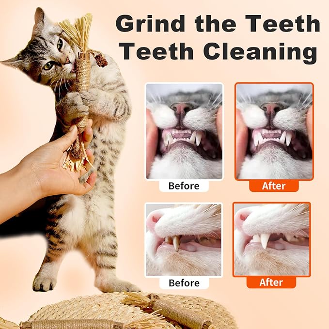 Natural Silvervine Dental Sticks, Natural Silvervine Sticks for Cats, Cleaning Dental, Scratch and Bite Resistant, Calm Cat Boring, for Indoor Kitty Interactive Kitten Chew Playthings (5Pcs)