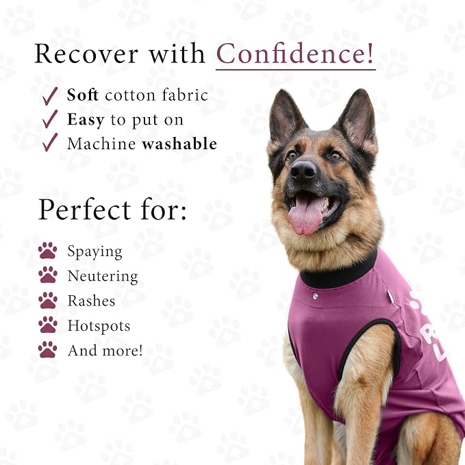 BellyGuard Dog Surgery Recovery Suit, Post-Op Dog Recovery Suit for Female Spay & Male Neuter, Comfy Onesie for Pets, Surgical Body Cover for Canine Healing Support